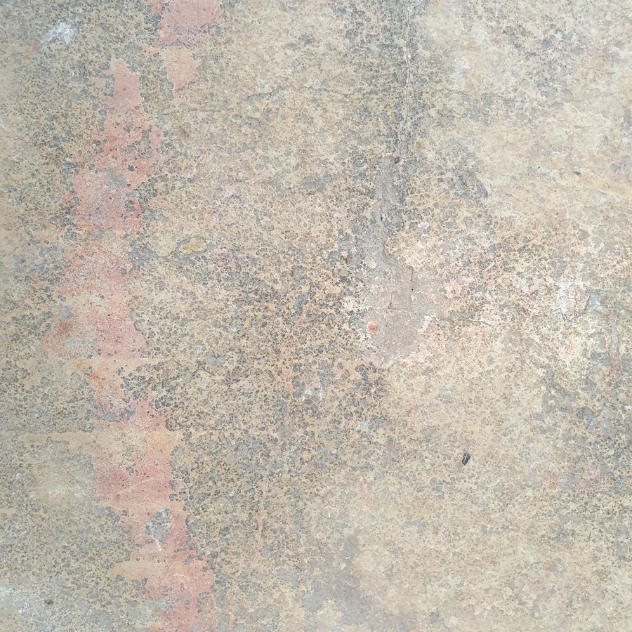 Site survey documentation showing doorway measurements and planned placement route for large plant delivery